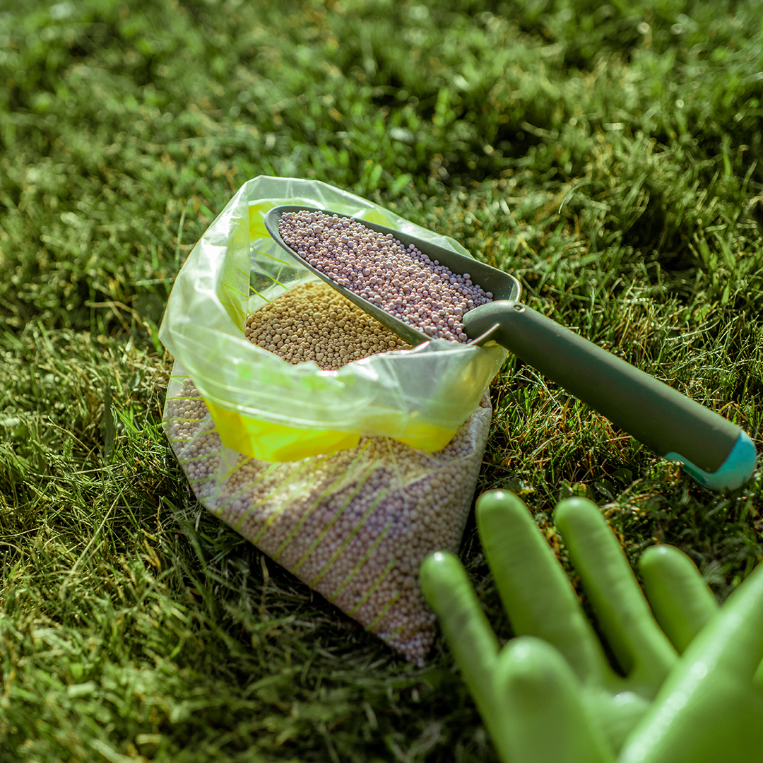 Chemical and Fertilizer