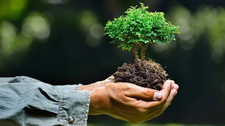 environment-services1